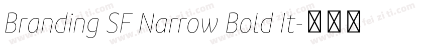Branding SF Narrow Bold It字体转换